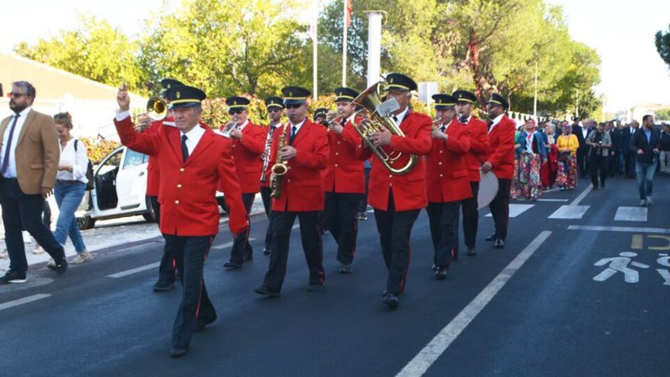 Ayvalık Zeytin Hasat ve Turizm Festivali başlıyor