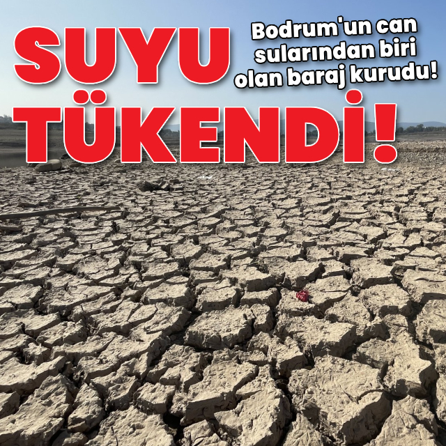 Bodrum'un can sularından biri olan baraj kurudu!