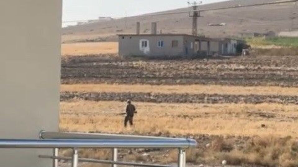 Bunun adı vicdansızlık! Köpekleri vurdu