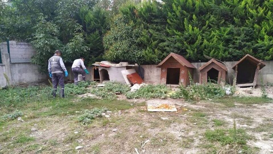 Esenyurt'ta sokağı basan farelere karşı ilaçlama yapıldı