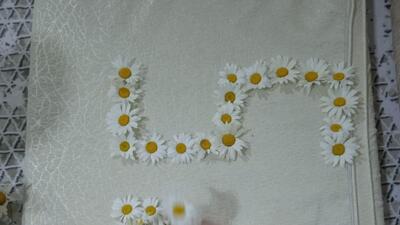 SMA hastası Elanur'un annesi: Evladımı kaybetmek istemiyorum