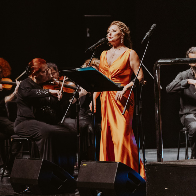 Bir gecede 5 konser