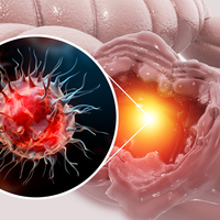 Sağlıklı organların yolu ondan geçiyor!