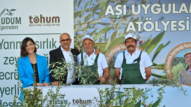 Yabani ağaçları kazanma projesi