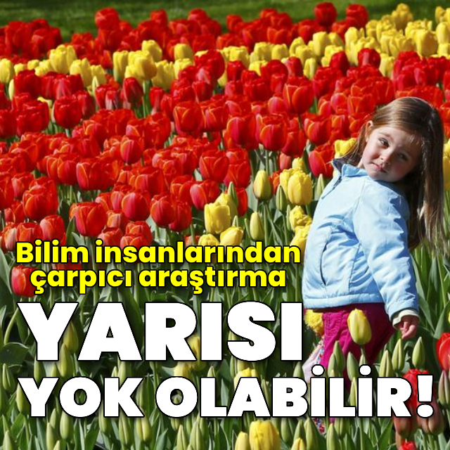 Çiçekli bitkilerde yüzde 45'i yok olma tehlikesi