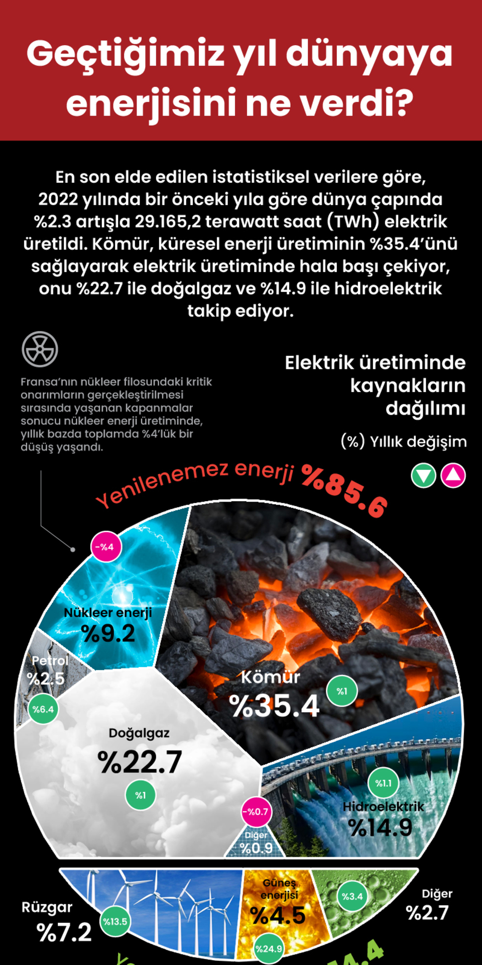  Geçtiğimiz yıl dünyaya enerjisini ne verdi?