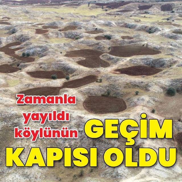Zamanla yayıldı, geçim kapısı oldu!