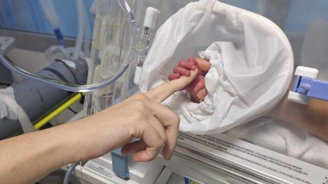 �zlem 28 ya��ndayd�... A�latan foto�raf