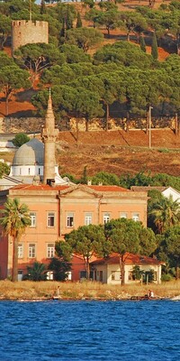  Ayvalık'ta hasat zamanı