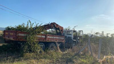 Balıkesir'de feci kaza