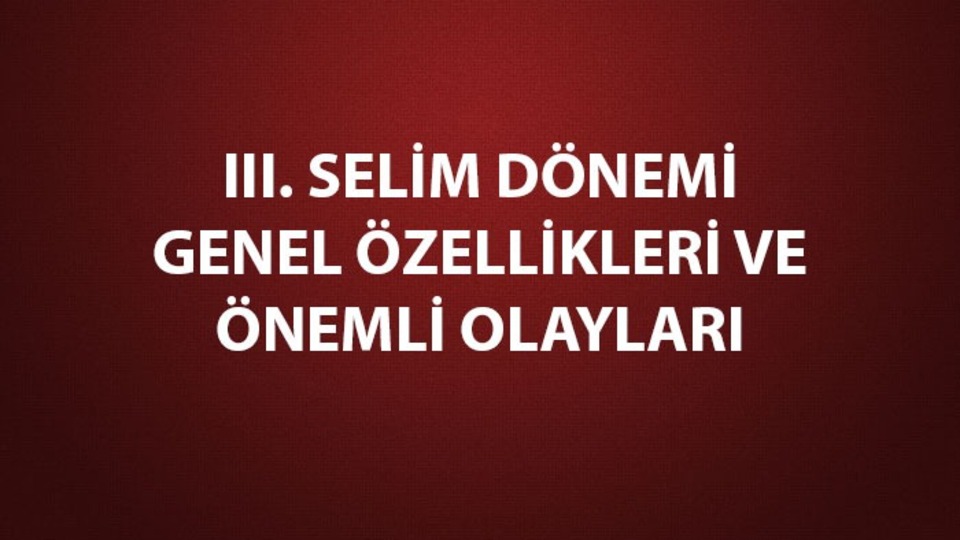 III. Selim dönemi gelişmeleri