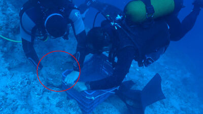 Dünyanın en eski batığında bulundu!