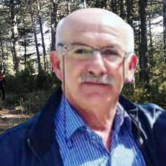 Mantara gittiği ormanda kayboldu