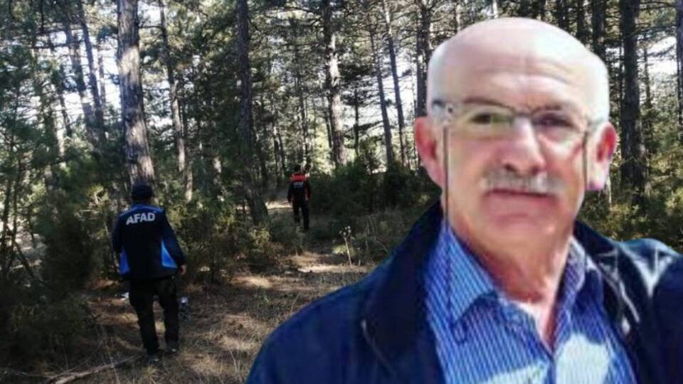Mantara gittiği ormanda kayboldu