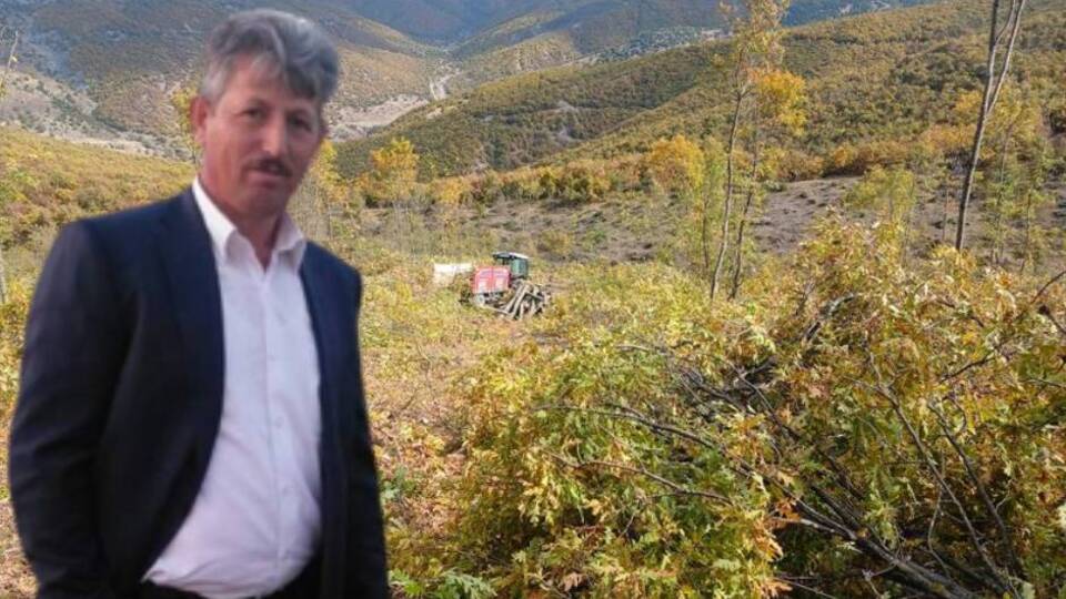 Ormanda odun keserken öldürüldü