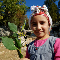 Eklem ağrılarını gideriyor, romatizmaya iyi geliyor!