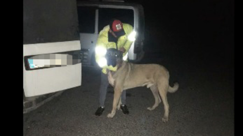 24 kişi yakalandı! Ormanlık alanda kanlı bahis!