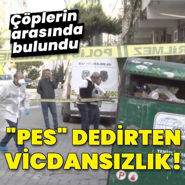 "Pes" dedirten vicdansızlık! Çöpe attılar