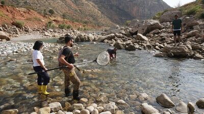En son 11 yıl önce görüldü! Leopar sazanı için o kente gittiler!