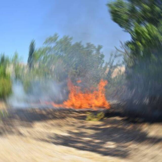 Anız yaktığı tarlada ölü bulundu