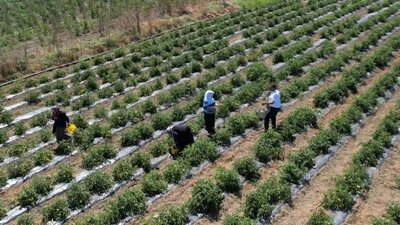 Gıda sanayicileri enflasyondan dertli