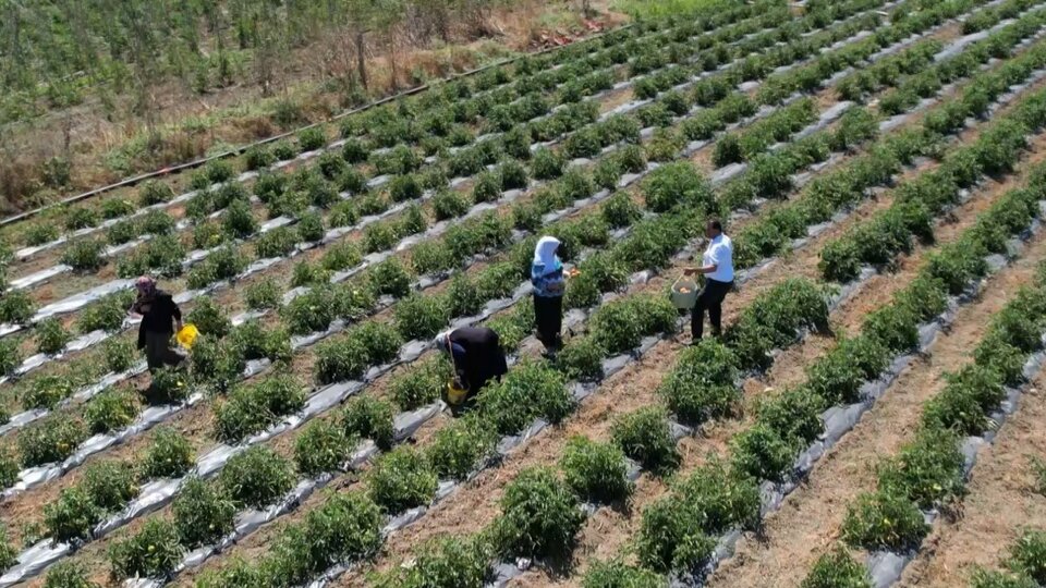 Gıda sanayicileri enflasyondan dertli