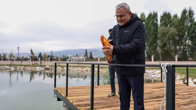 Yedigöller'in yeni sakinleri