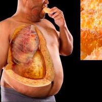 İç organ yağlarından 8 adımda kurtulun