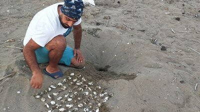 150 bin yavru denize ulaştı