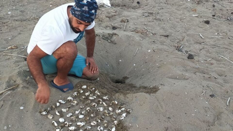 150 bin yavru denize ulaştı