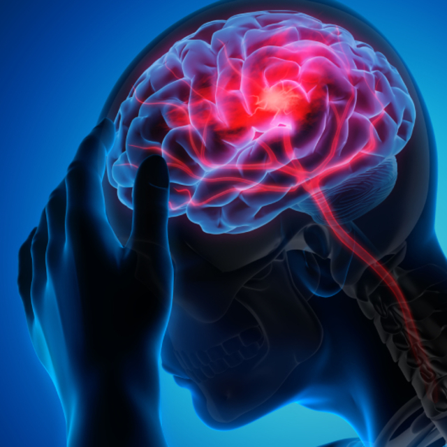  O ölümler 2050'ye kadar yarı yarıya artacak