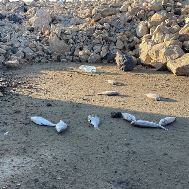 Ekipler inceleme başlattı