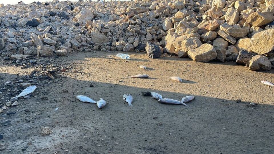 Ekipler inceleme başlattı