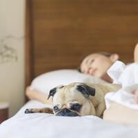 Rüyada Tabutun İçinde Ölmüş Birisini Görmek