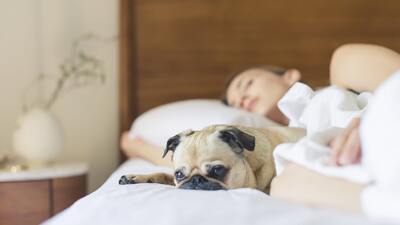 Rüyada Tanımadığın İnsanlarla Konuşmak