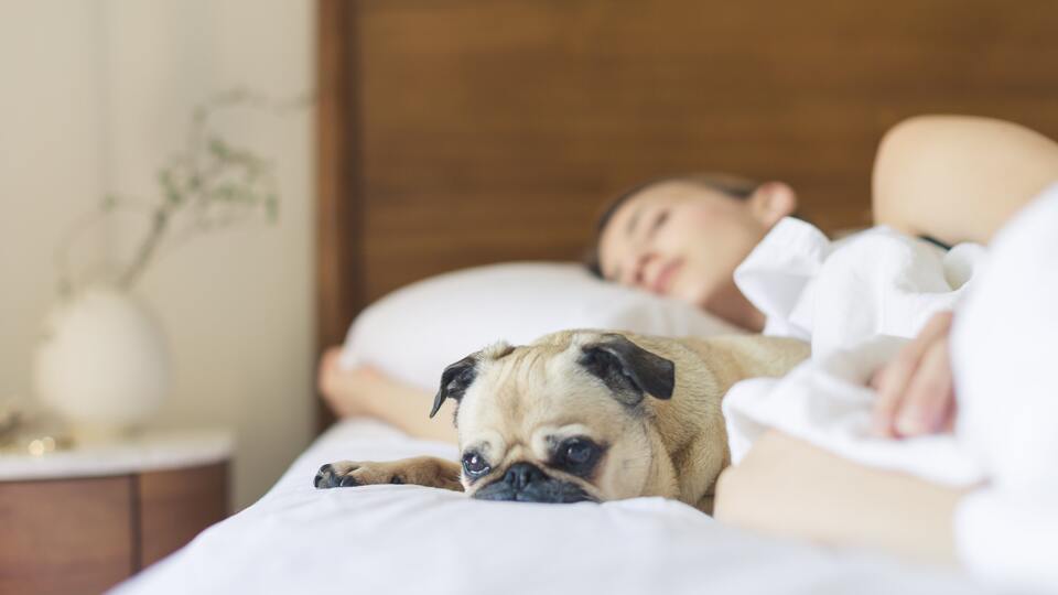 Rüyada Tanımadığın İnsanlarla Konuşmak