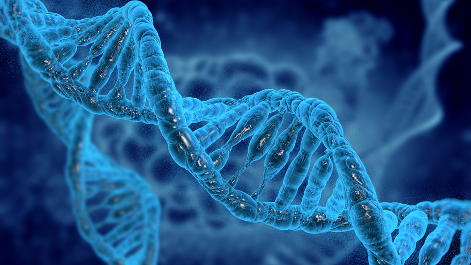 Kanseri kendi kök hücresiyle 2. kez yendi