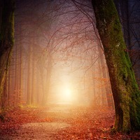 Rüyada Üstün Başarı Belgesi Almak