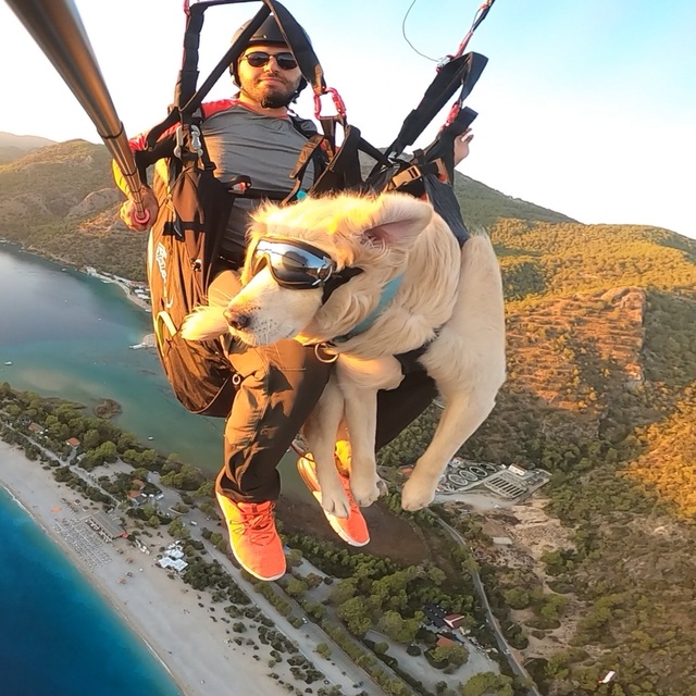 Köpeğiyle yamaç paraşütü atlayışı yaptı