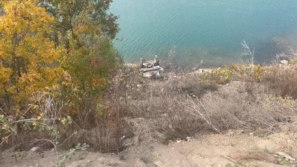 Eşek arısı 25 metreden uçurdu!