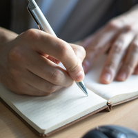 She ile ilgili cümleler