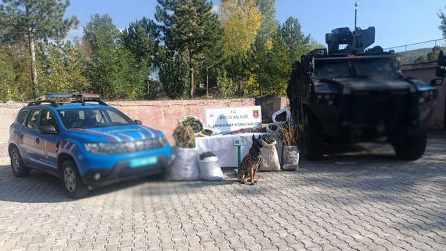 Bitlis'te 28 kilo 560 gram esrar ele geçirildi