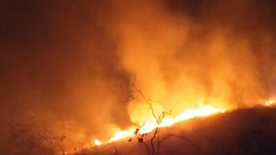 Manisa'daki orman yangını kontrol altına alındı