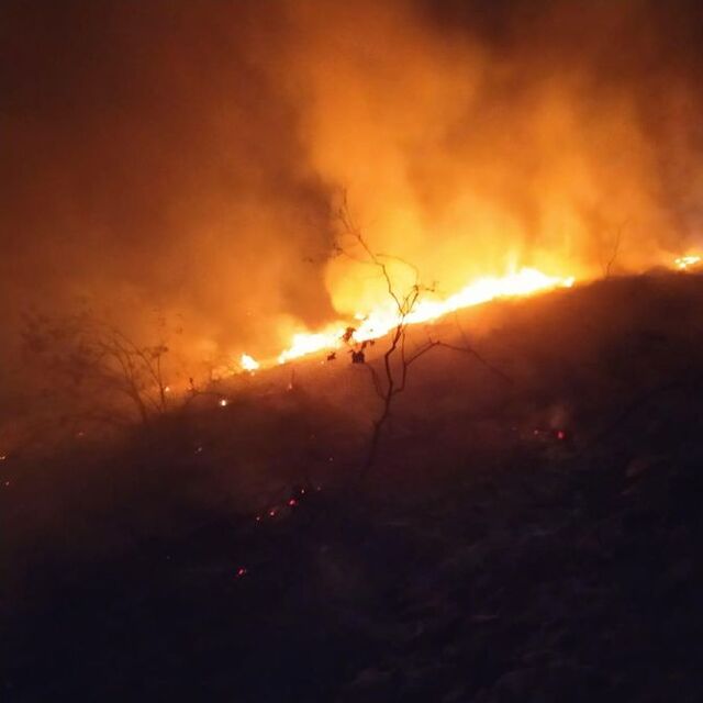 Manisa'daki orman yangını kontrol altına alındı