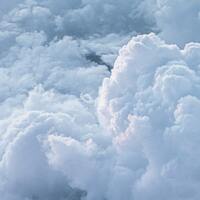 Rüyada Ünlü Olmak