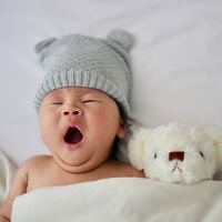 Rüyada Üzüm Bağı Görmek