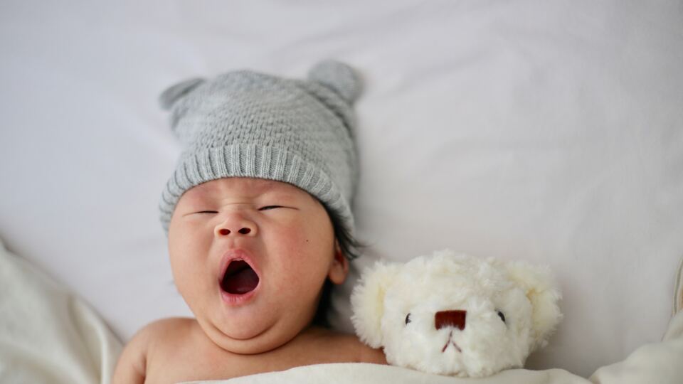 Rüyada Üzüm Bağı Görmek