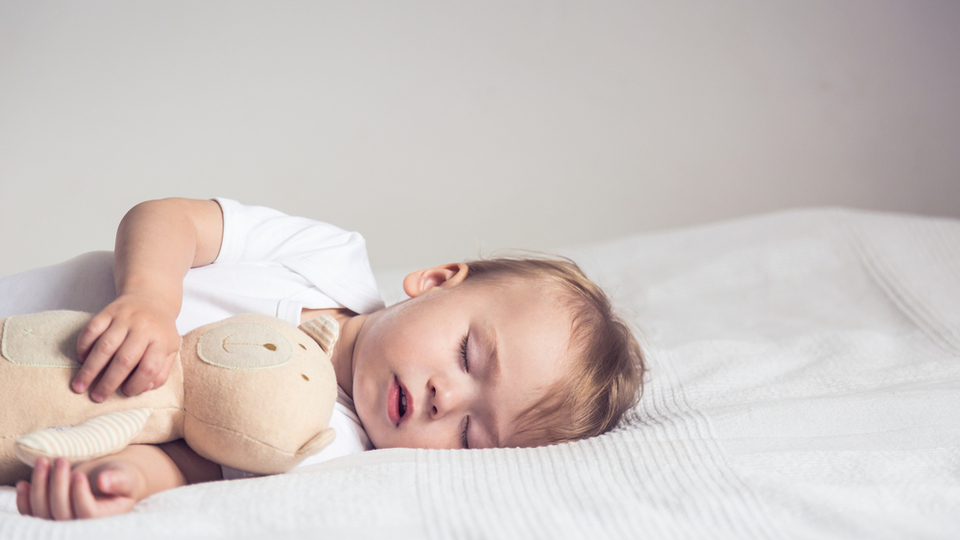 Rüyada Üzüm Yaprağı Görmek