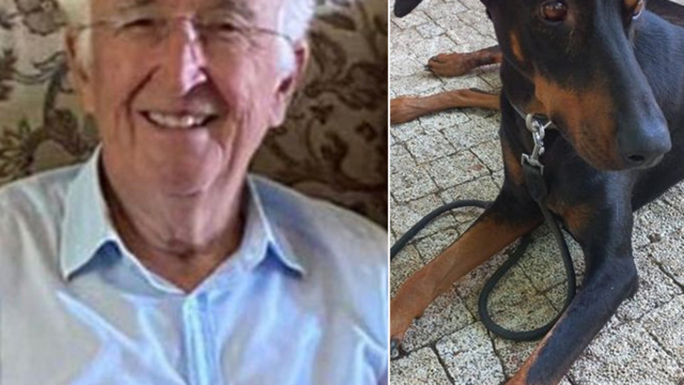 Korhan Berzeg'i arama çalışmalarıyla ilgili son gelişme!