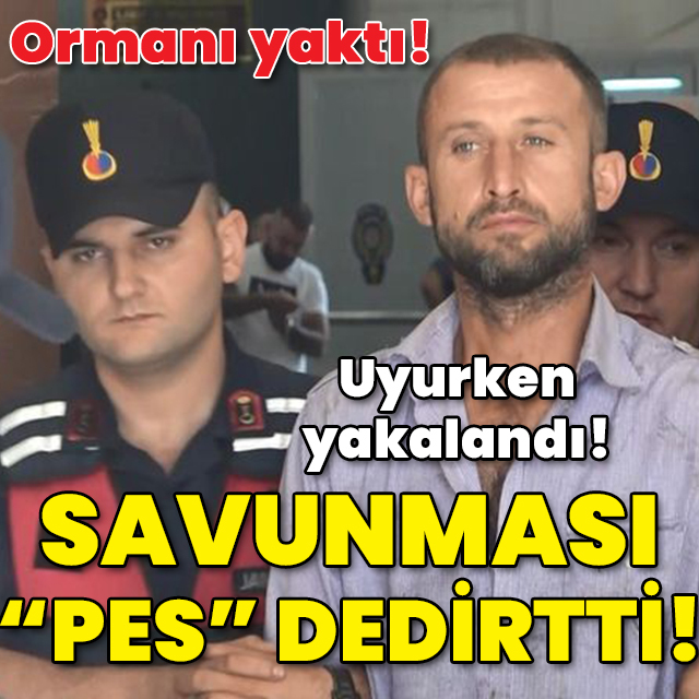 Ormanı yaktı! Uyurken yakalandı! Savunması "Pes" dedirtti!